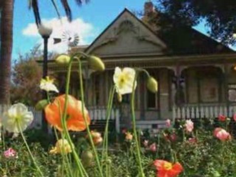 L'amitié[1]...POUR VOUS MES AMIS DE DAILY