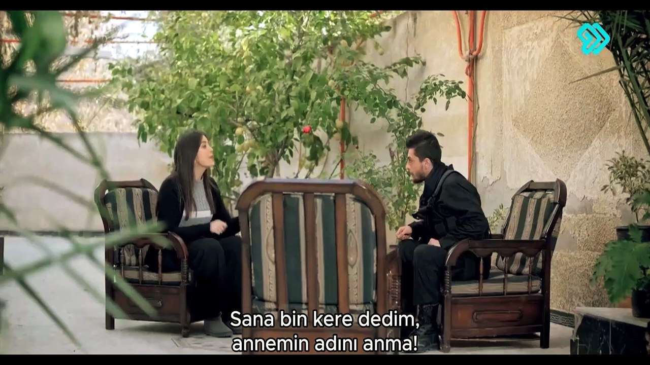 Habib (22)