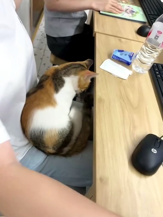 POV: New classmate unlocked 🔓🐈🥹