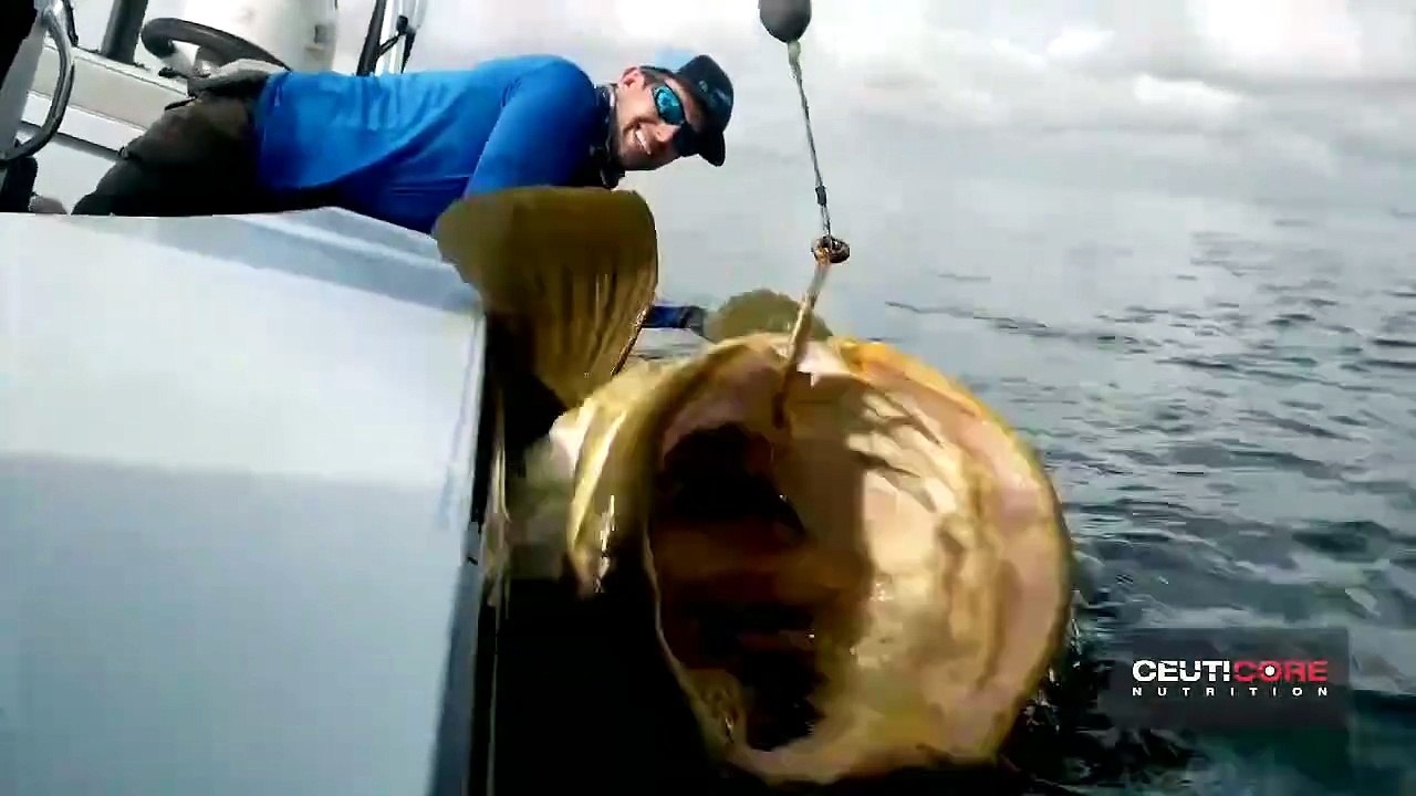 The Hunt for the Giant Fish