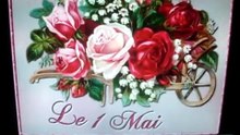 video jean pierre 041  sans musique pour daylimotion
