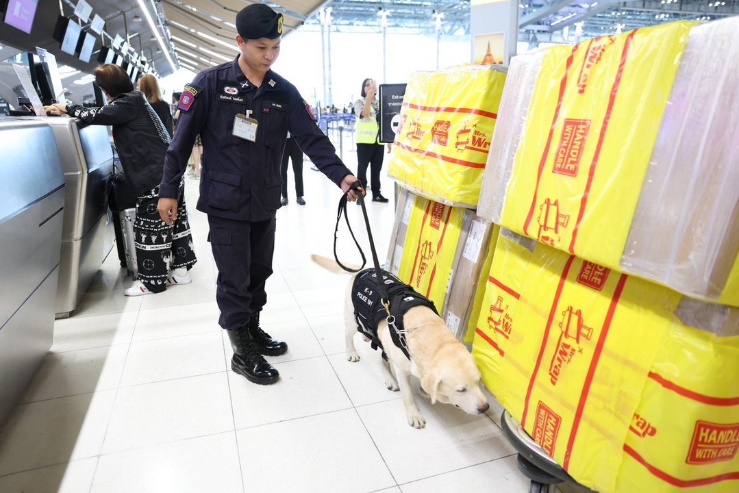 AOT ยกระดับความปลอดภัยสนามบินสุวรรณภูมิ ผนึก K-9 สกัดลักลอบขนยาเสพติด