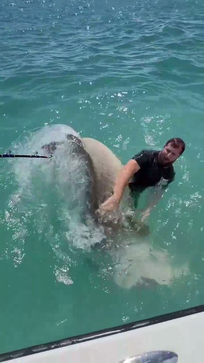 The Hunt for the Giant Fish  #TheHunt #Fish #GOFISHING #GIANTFISH