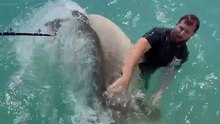 The Hunt for the Giant Fish  #TheHunt #Fish #GOFISHING #GIANTFISH