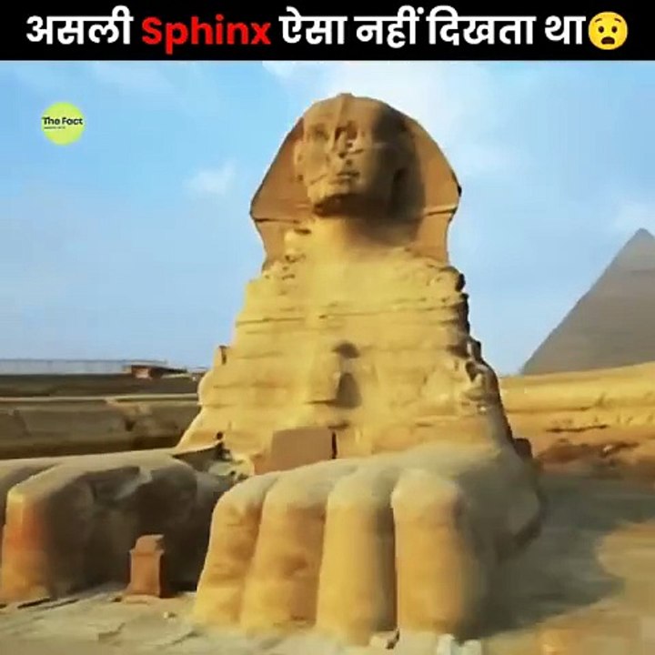 Amazing Facts About Food 🍒 _ Mind Blowing Facts in Hindi #shorts #facts