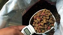 Electronic Weighing Spoon for Pet Food – Flash Sale 65% Off