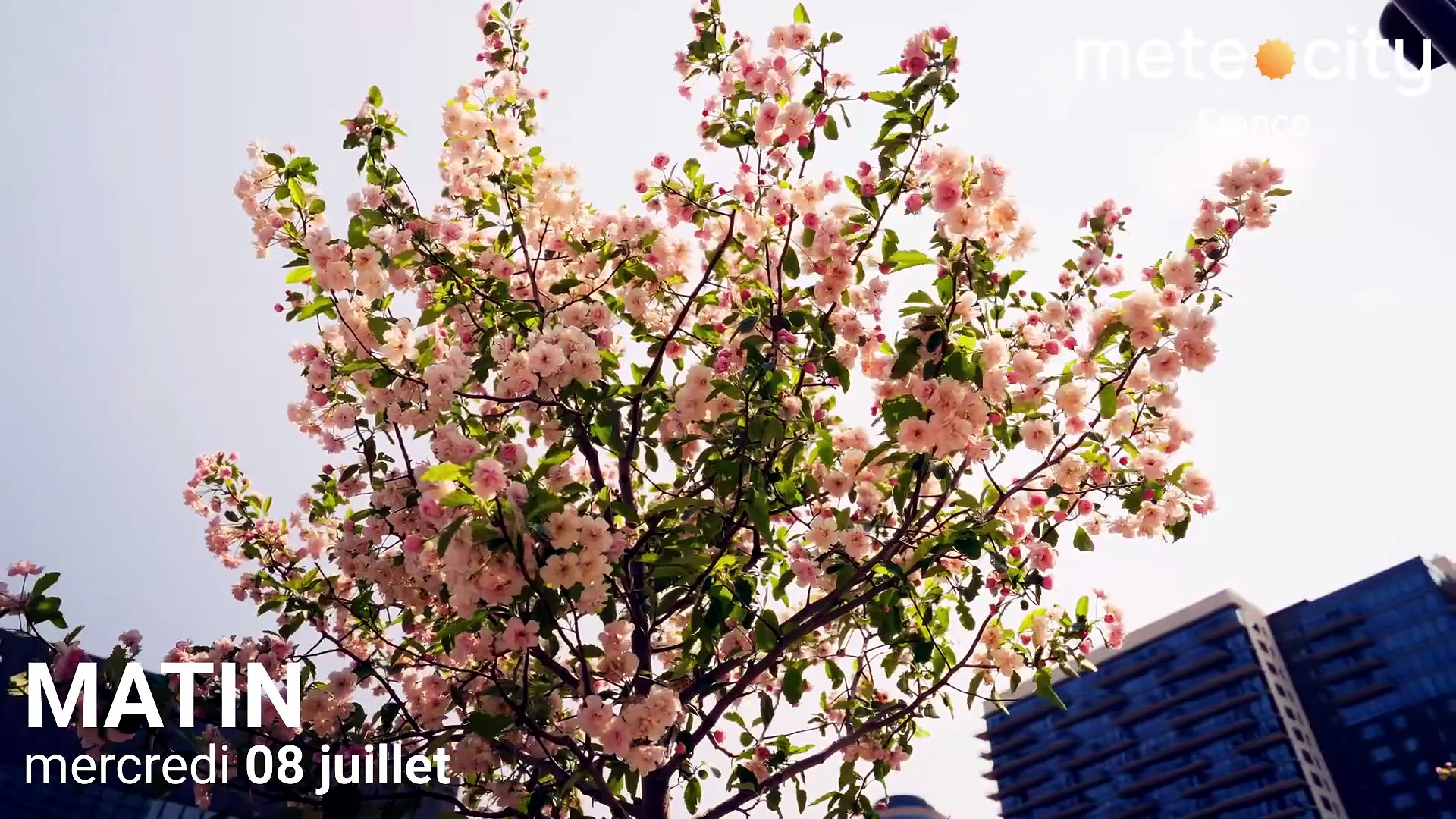 Bulletin météo France du mercredi 08 juillet 2026