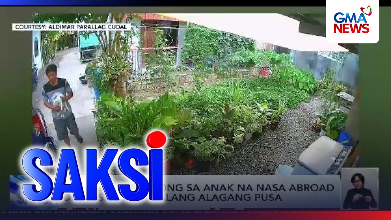 Tatay, napasumbong sa anak na nasa abroad dahil sa nawawalang alagang pusa | Saksi
