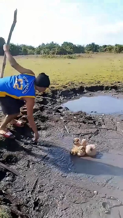 Funny Videos (Part 4)