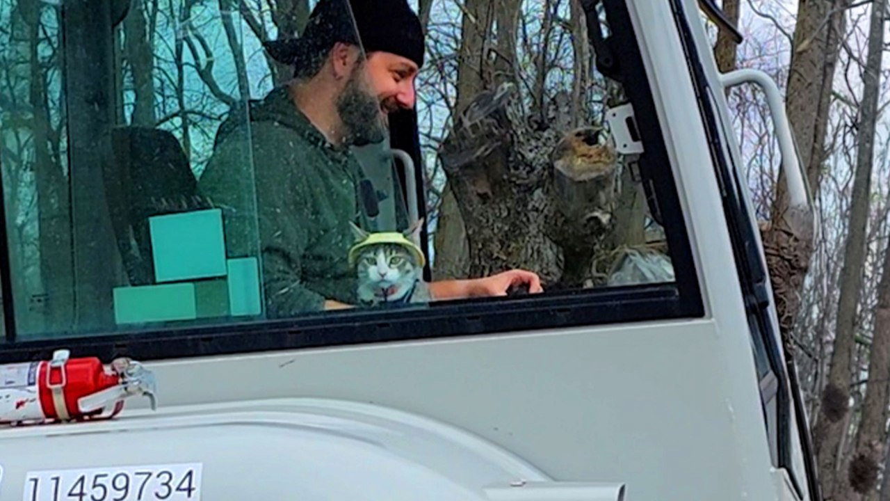 Guy Who Wasn’t An Animal Person Now Has A Furry Buddy