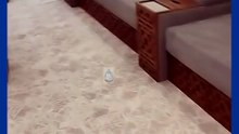 شركة تنظيف مجالس في ابوظبي  (1)