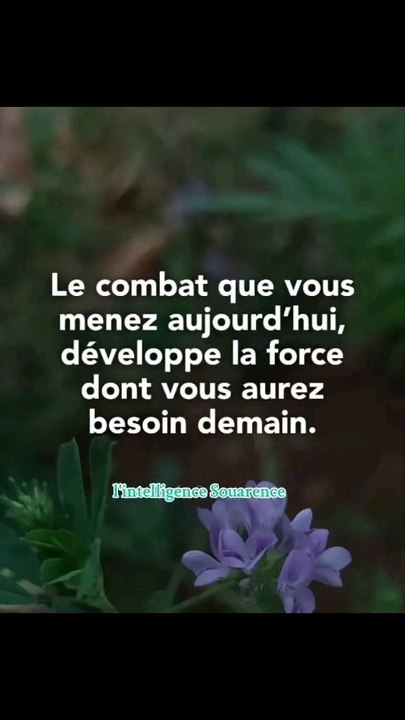 Le combat que vous menez aujourdhui, développe la force dont vous aurez besoin demain.#lintelligencesouarence #reels #viralreelschallenge #inspiration #viralvideochallenge #shortsreels #penseepositivedujour #motivation #citationdujour #viralchallenge