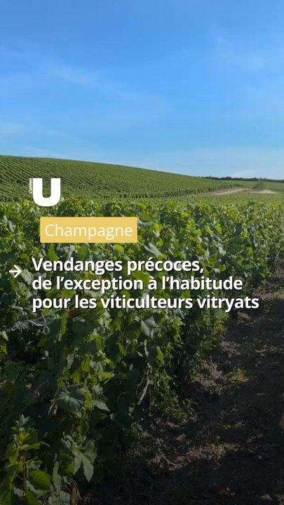 Les vendanges à la mi-août, de l’exception à l’habitude pour les viticulteurs vitryats