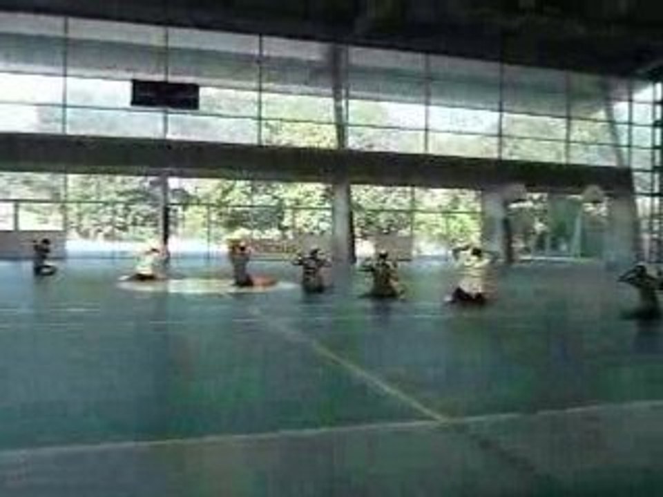 Festival de vitrolles du 28 juin 2008 025