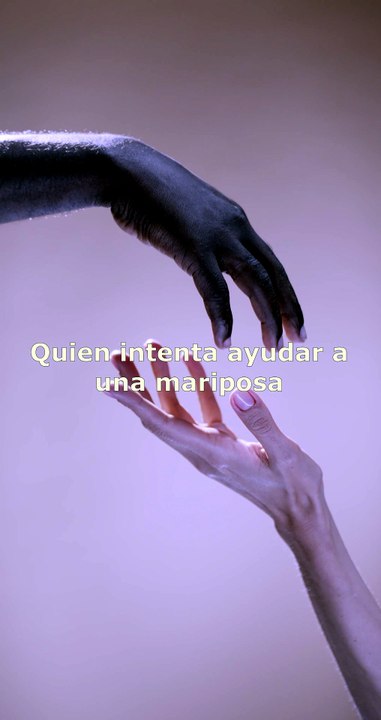 Sabiduria para ayudar.