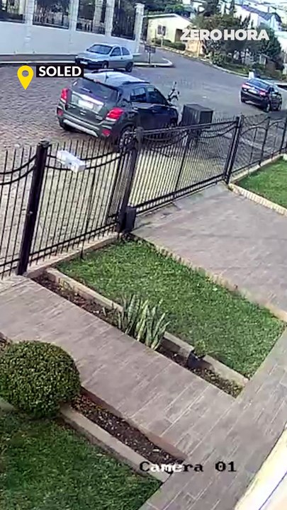 Javaporco flagrado em Soledade