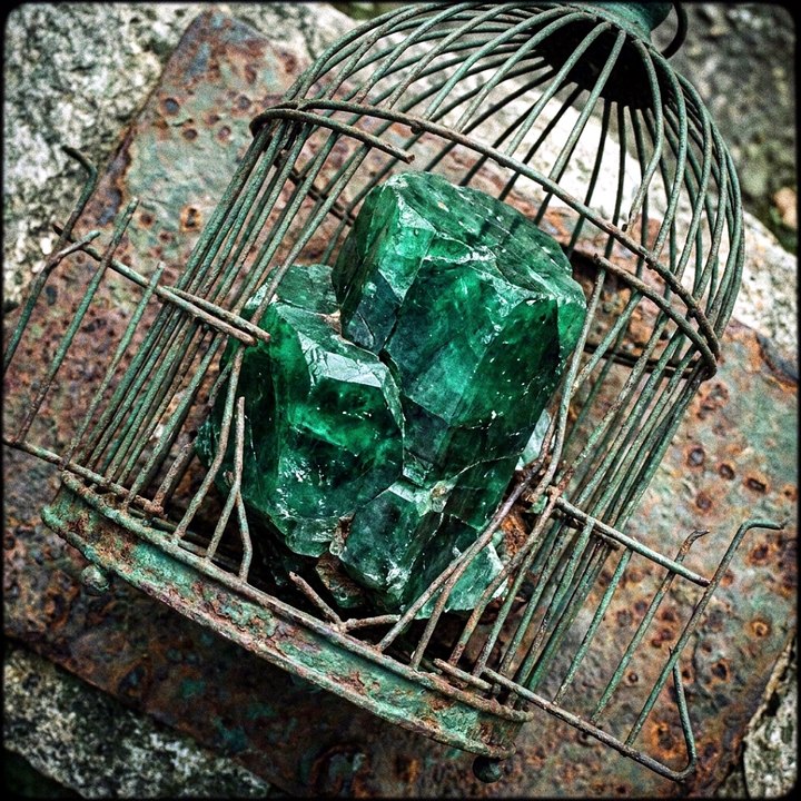 The Cage