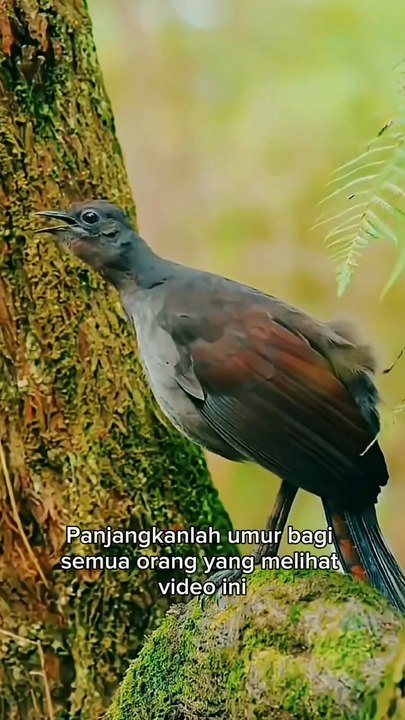 Berkah untuk semua.
