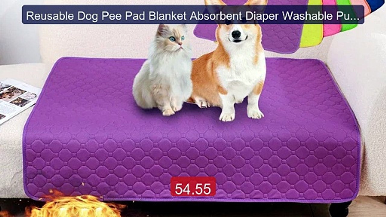 Reusable Dog Pee Pad Blanket Absorbent Diaper Washable Puppy Train... -- Best Deal 2026 | Shop Now!
