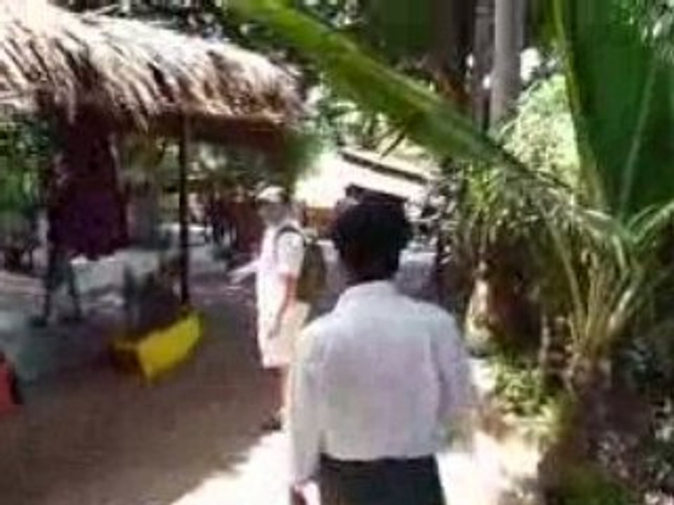 Arrivée au Mango Tree