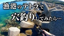 【穴釣り】漁港のテトラで穴釣りしてみたら…