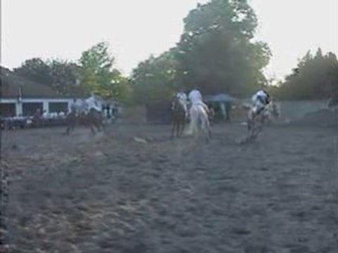 Equidourstables. be : Portes Ouvertes 2008