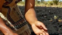 POR qué los AZTECAS cultivaban MEJOR