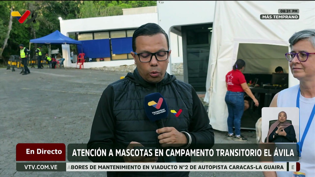 Campamentos transitorios brindan atención y acompañamiento solidario a mascotas rescatadas