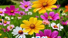 Islam s power
