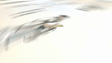 君子喻于义！小人喻于利！传承千年儒家智慧！诠释中华文化根基！