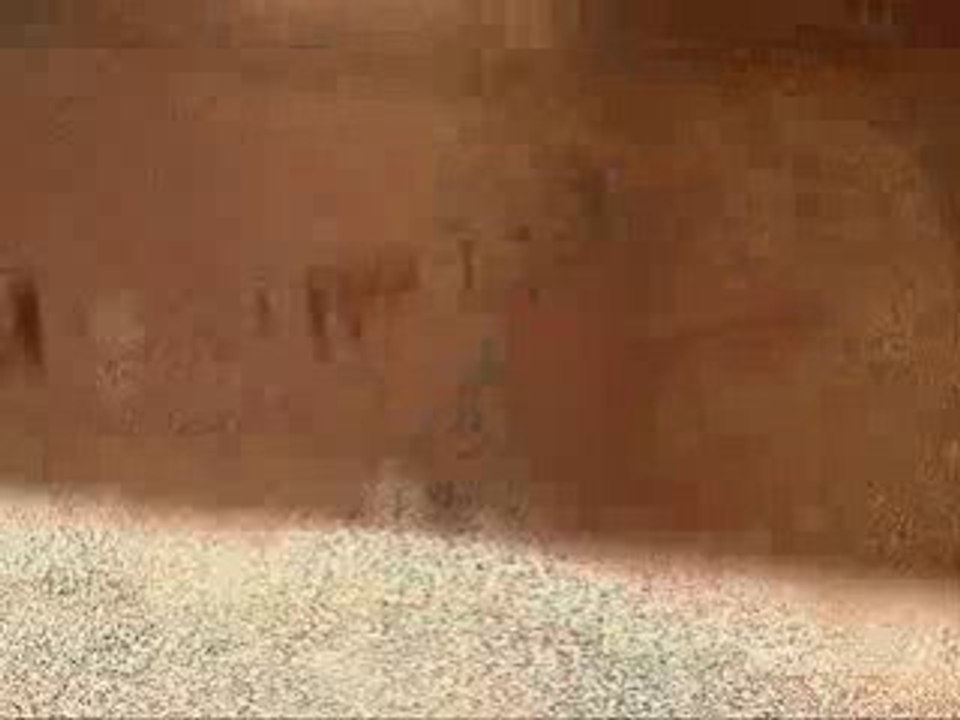 ILona.wmv