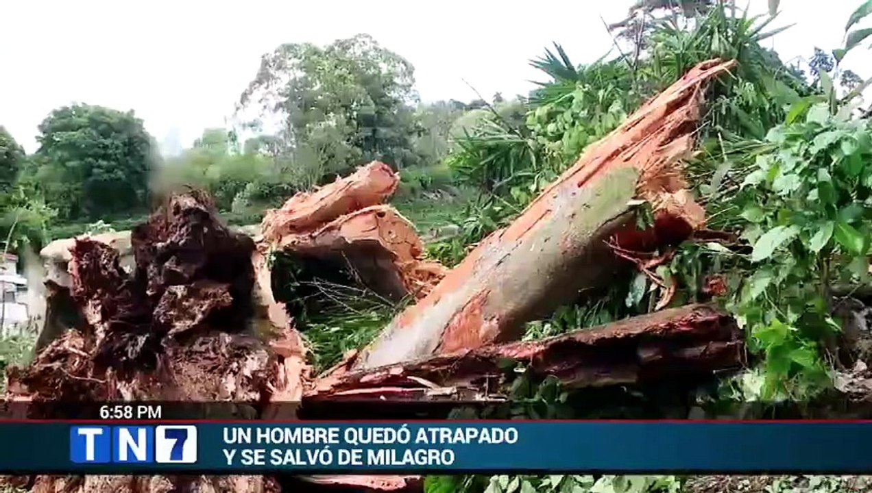 tn7-cuatro-adultos-y-un-menor-sobreviven-tras-caida-de-gigantesca-rama-sobre-casa-en-cartago-070626 [Full Movie]