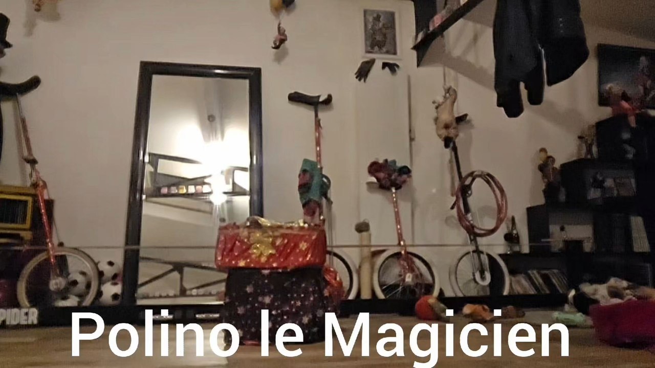Polino le Magicien