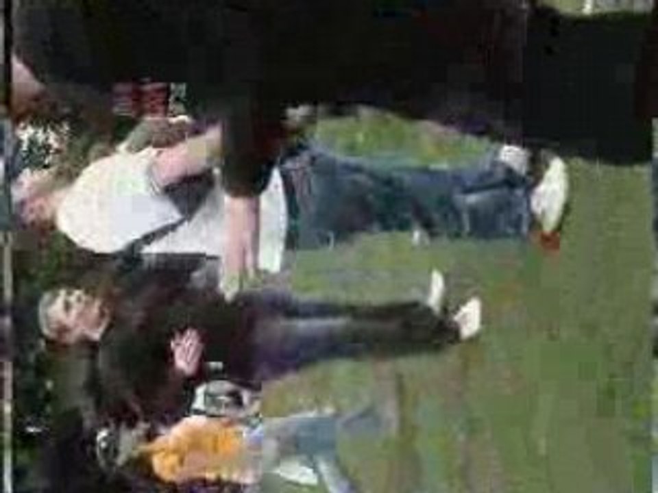 Green & Blue 2007 top