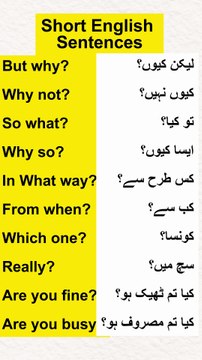 Daily Use English Sentences With Urdu Translation Daily Use English Sentences With Urdu Translation #kidsonlinelearningplatform #spokenenglish #english #englishlearning #englishspeaking #englishlanguage #learnenglish #LearnEnglishFast #EasyEnglish #Urdu
