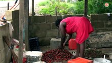 Région-Aboisso / Route Aboisso–Ayamé : le retour du bitume redonne espoir aux populations