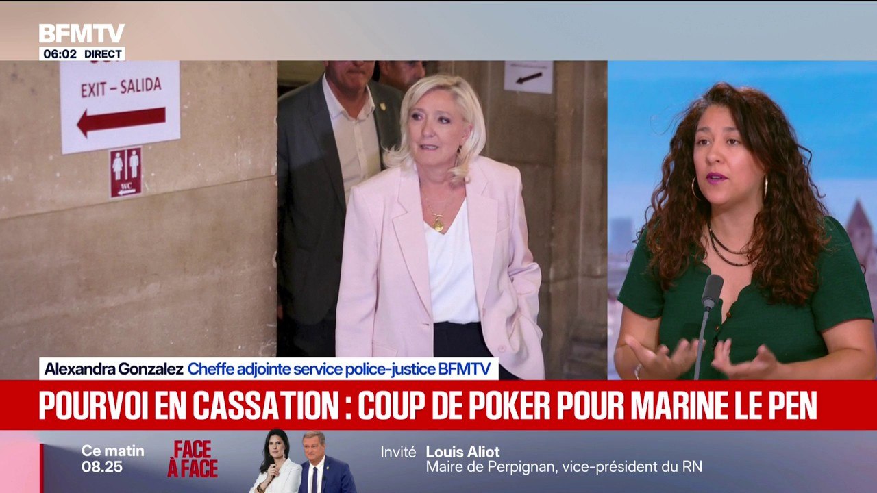 Pourvoi en cassation de Marine Le Pen: ce qu'espèrent ses avocats avec ce recours
