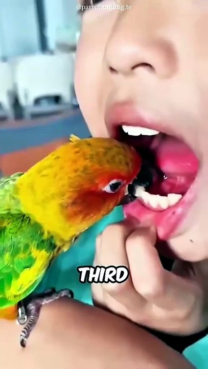 Mind-Blowing Parrot Facts You NEVER Knew! 🦜😱 The Smartest Birds on Earth