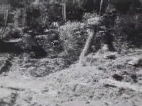 1920 Forestry Logging Equipment Film: Felling Forest Giants