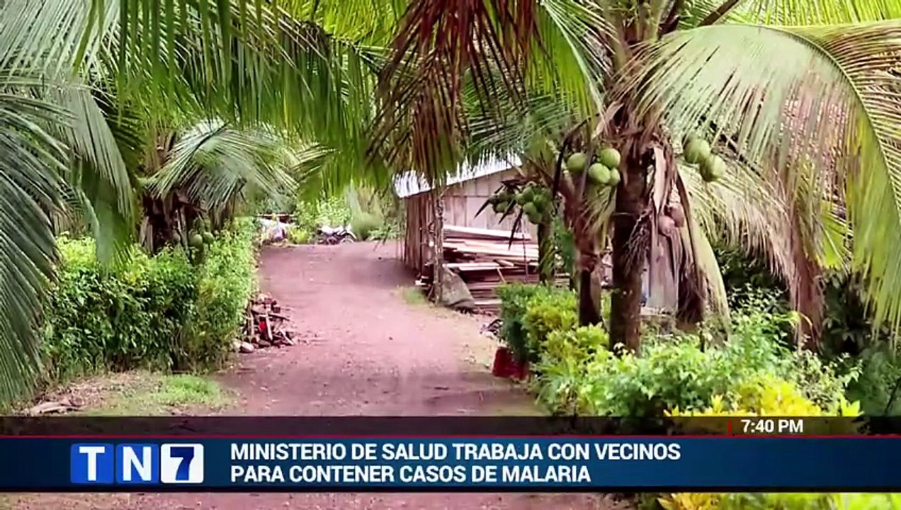 tn7-brote-de-malaria-en-zona-norte-complica-intencion-de-erradicar-enfermedad-en-2030-210426 [Full Movie]
