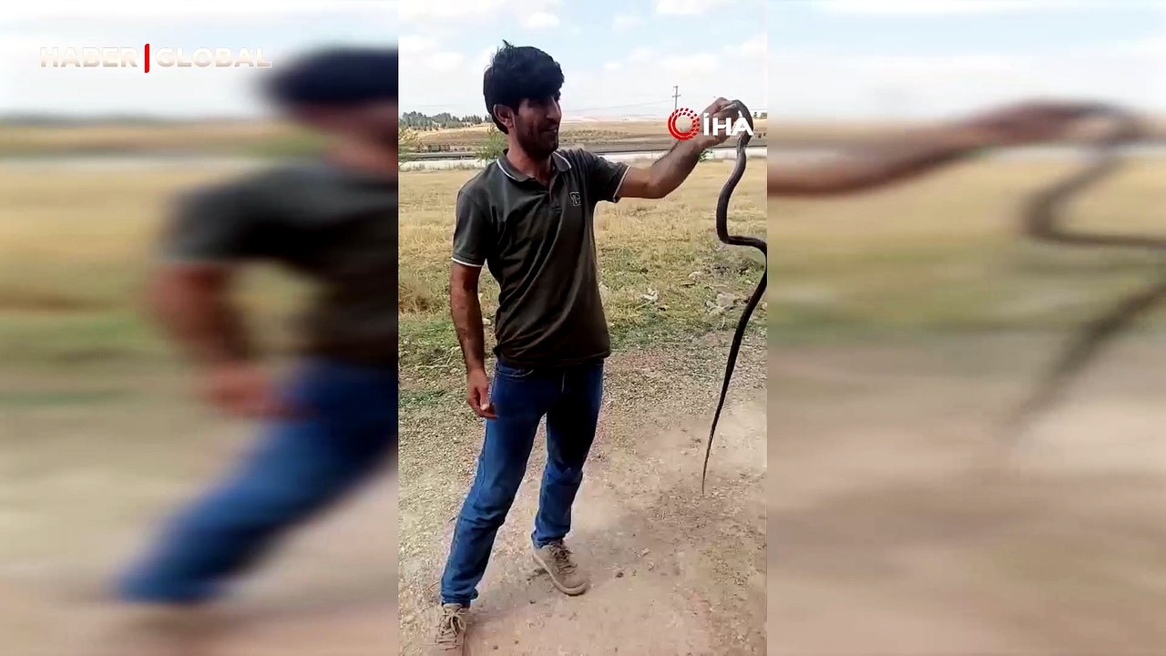 Siirt'te evine giren yılanı eliyle yakaladı