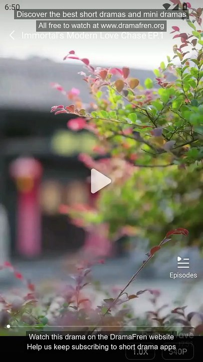 Immortal's Modern Love Chase Chinese Drama