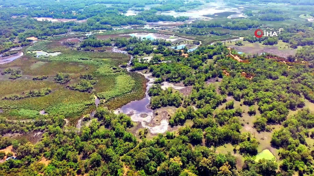 22 kilometrelik dev sahil yaza hazır! Bursa'da doğa ve deniz bir arada