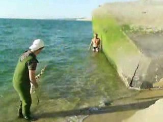 Sortie cap ferret 01 2008 438