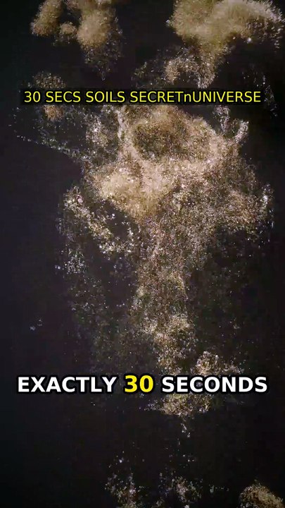 30 Secs: Soil's Secret Universe! 🌎