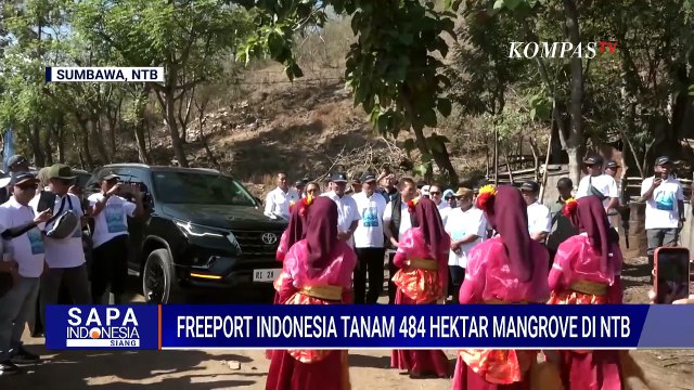 Freeport Indonesia Tanam 484 Hektar Mangrove di NTB, Dukung Restorasi Ekosistem Pesisir Nasional
