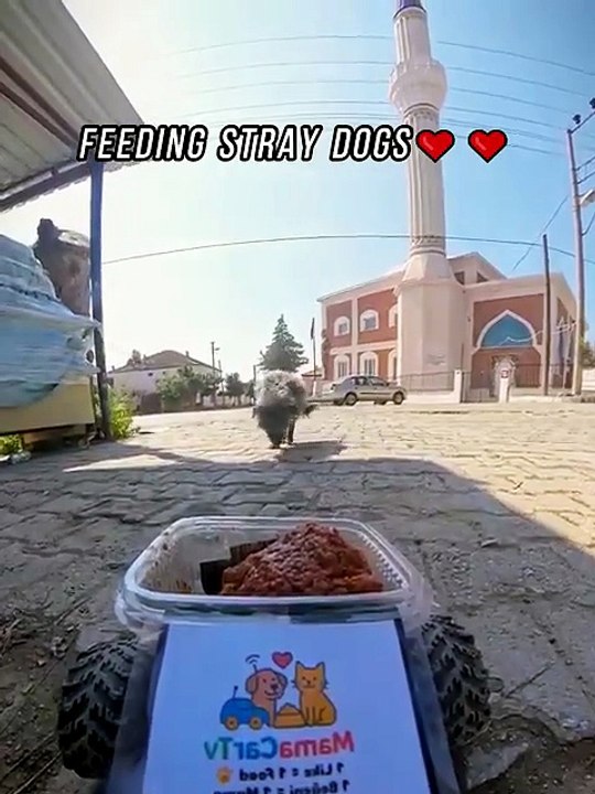God Bless These Amazing People ❤️🐕🙏