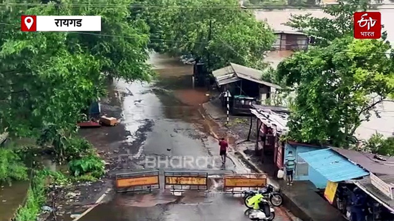 रायगडला पुन्हा पुराचा वेढा अन् मगरीचा थरार, महाड तालुक्यात रस्त्यावर मगरीचा मुक्त संचार