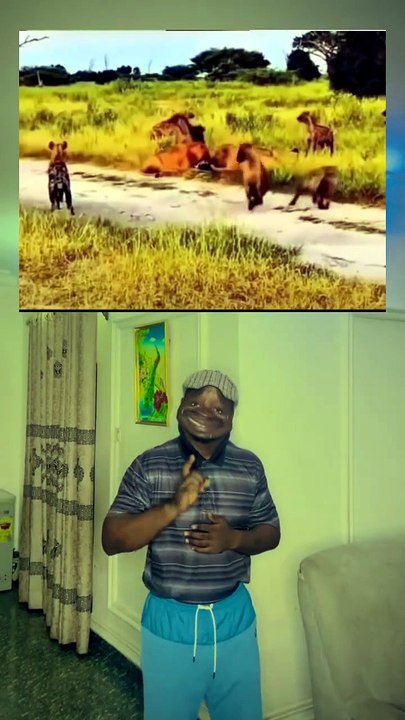 L'animal le plus dangereux sur Terre 😱 Même les lions prennent la fuite… Découvrez cet homme ivre qui fait fuir tous les animaux