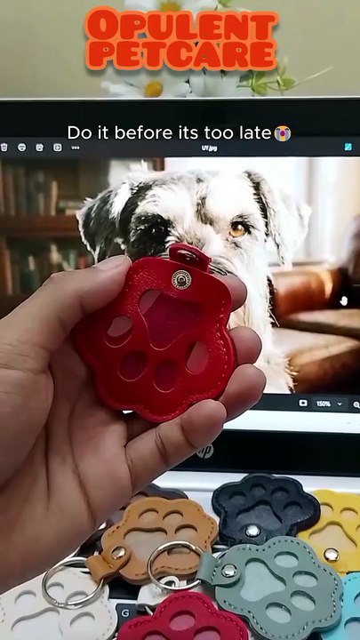 Leather Paw Keychain – Cute Pet Hair Storage Ornament🐾
